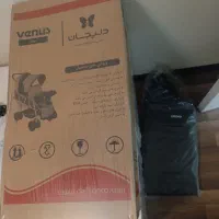 کالسکه دو قلو