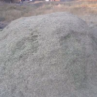 علف (گه زره)