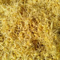 ارد جوانه وارد برنج وارد نخود|خوردنی و آشامیدنی|قم, حاج خلیل|دیوار