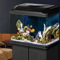 آکواریوم شرکتی دلسا k580