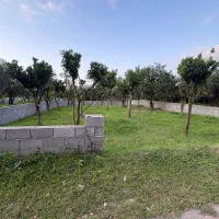 زمین-مسکونی-در-طالش-محله-ی-فتوک