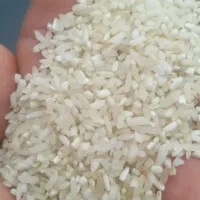 برنج درجه یک شوشتر|خوردنی و آشامیدنی|قم, صفاشهر|دیوار