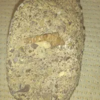 کسی هست بگه اینها چه سنگهای هستند|کلکسیون اشیاء عتیقه|شیراز, حومه شیراز|دیوار