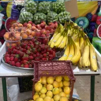 نیازمند نیروی کار فعال