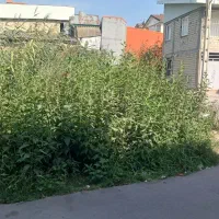 زمین ۸۱ متر دوبر|فروش زمین و ملک کلنگی|رشت, حمیدیان|دیوار