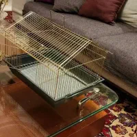 قفس پرنده طوطی فنچ جوجه عروس هلندی