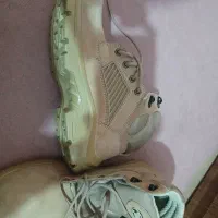 کفش ایمنی ارک مدل رینو ۴۴ نو