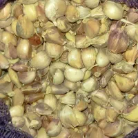سیر خشک  و حبه شده