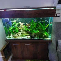 اکواریوم ۱ متر شیشه خم