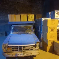 راننده نیسان