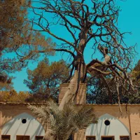 فروش دوربین canon 2000d