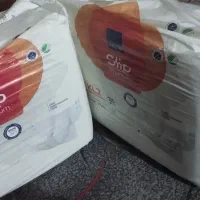 بزرگ ساله هستن قیمت خردوتا600