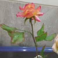 ست دکوری سنگ مصنوعی