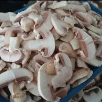 پخش قارچ|خوردنی و آشامیدنی|شیراز, هفت تنان|دیوار