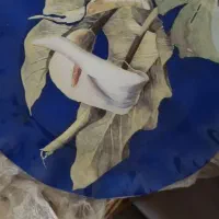 دوقابلمه بدون درب کورنینگ اون ومکروفر