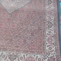 فرش دستبافت بسیار زیبا و پر پرز|فرش|سجاس رود, |دیوار