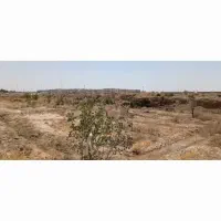 زمین ۱۵۰۰ متری در رباط کریم|فروش زمین و ملک کلنگی|رباط‌کریم, پرندک|دیوار