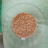 حبوبات|خوردنی و آشامیدنی|ورامین, ورامین|دیوار