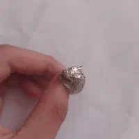 انگشتر طرح گرگ برنج