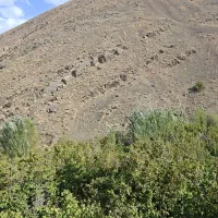 باغ-فندق-کهندان