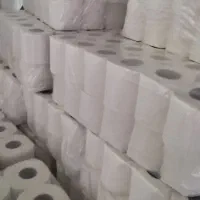 دستمال کاغذی لوله ای فله ای|مواد شوینده و دستمال کاغذی|کبودرآهنگ, |دیوار