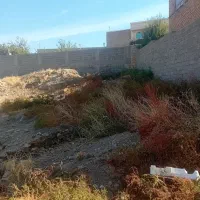 زمین خام|فروش زمین و ملک کلنگی|شاهین دژ, |دیوار