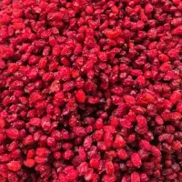 زرشک|خوردنی و آشامیدنی|ششتمد, |دیوار