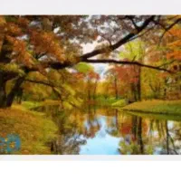 تابلوفرش|تابلو فرش|یزد, |دیوار