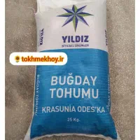 گندم دیم امریکایی|گل و گیاه طبیعی|شراء, |دیوار