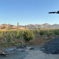 فروش باغ|فروش خانه و ویلا|زیویه, |دیوار