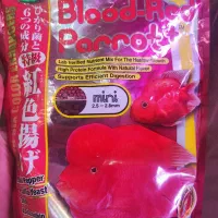 هیکاری،آکواریوم،فلاور