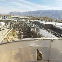 سازه گلخانه