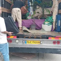 اتو باربری اسباب چی رامسر