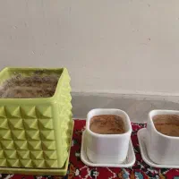 گلدان سرامیکی