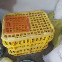 سبد مرغی مواد تازه
