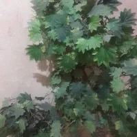 درختچه مصنوعی  خارجی