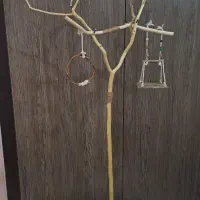 درخت پرندگان|لوازم جانبی حیوانات|مشهد, نیروی هوایی|دیوار