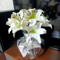 گل با گلدان