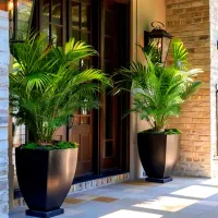 فروش زمین هکتاری در بهترین منطقه