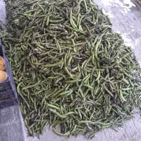 حراج باقالی تازه گرگان مستقیم از کشاورز