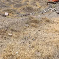 راننده پایه یک