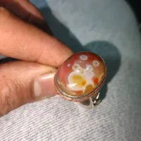 انگشتر سلیمانی لامه