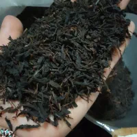 چای قلم به شرط دم|خوردنی و آشامیدنی|لاهیجان, لاشیدان|دیوار