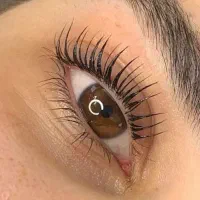 آموزش کاشت مژه|خدمات آموزشی|امیدیه, |دیوار