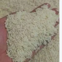 برنج فجر سوزنی سورت شده