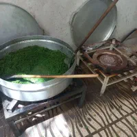 استخدام نیروی کارخانم