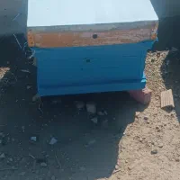 فروش کندو خالی در حد نو