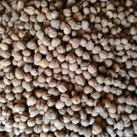گردو|خوردنی و آشامیدنی|گالیکش, |دیوار