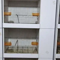 قفس اروپایی