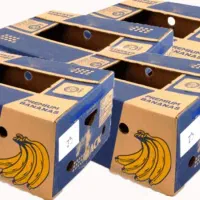 فروش کارتن موز